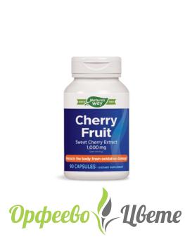 ХРАНИТЕЛНИ ДОБАВКИ Кости, стави и мускули Cherry Fruit/ Череша (плод) 500 mg x 90 капсули